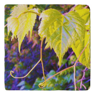 Napa Valley Trivet