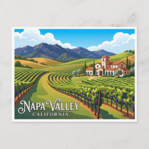Napa Valley Vineyard California Postcard