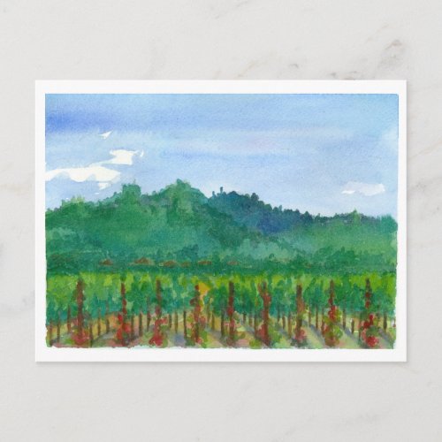 Napa Valley Vineyard Red Roses Watercolor Painting Postcard
