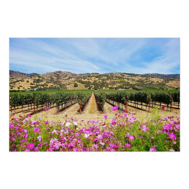 Napa Valley Vineyard with Cosmos Poster (Front)