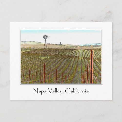 Napa Valley Vineyard with Windmill Postcard