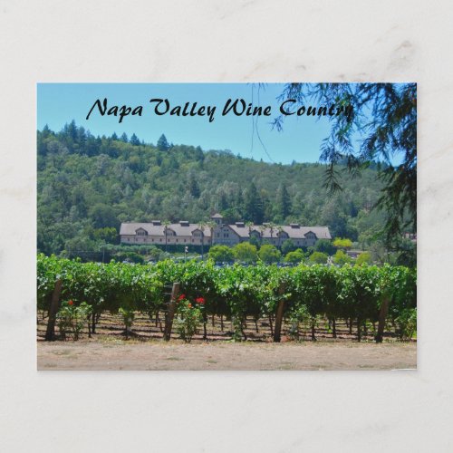 Napa Valley Wine Country Vineyard Postcard