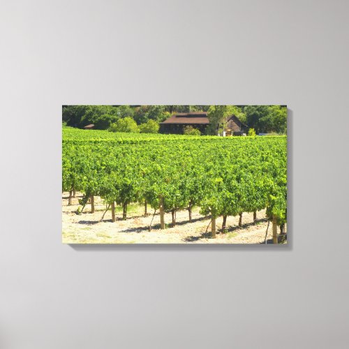 Napa Valley Winery Vineyard Canvas Print