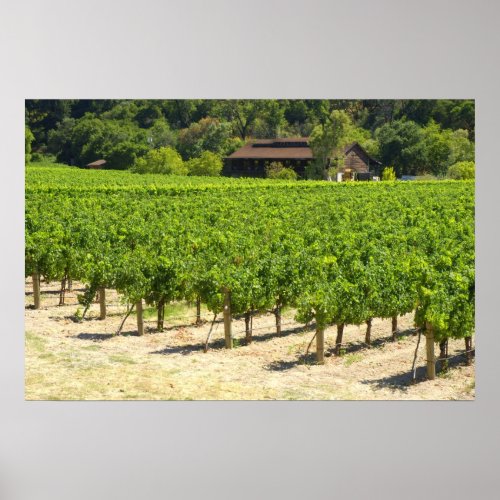 Napa Valley Winery Vineyard Poster