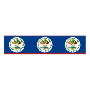 Napkin Band with flag of Belize