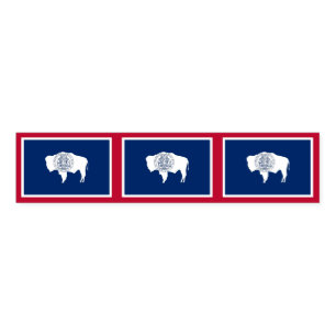 Napkin Band with flag of Wyoming State, USA