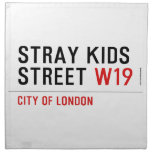 Stray Kids Street  Napkins