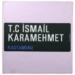 T.C İSMAİL KARAMEHMET  Napkins