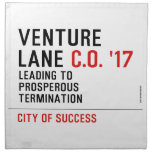 Venture  Lane  Napkins