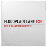 Floodplain lane  Napkins