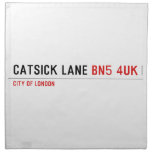 Catsick Lane  Napkins