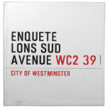 enquete  lons sud  avenue  Napkins