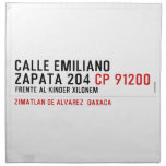 CALLE EMILIANO  ZAPATA 204  Napkins