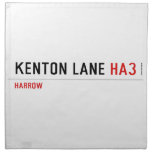 Kenton Lane  Napkins