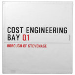 Cost Engineering Bay  Napkins