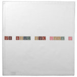 CUB SCOUT STEM LOCK IN  Napkins