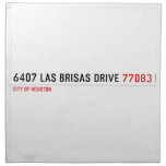 6407 Las Brisas Drive  Napkins
