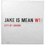Jake is mean  Napkins