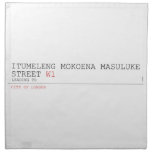 ITUMELENG MOKOENA MASULUKE  Street  Napkins