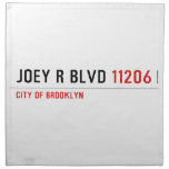 JOEY R BLVD  Napkins