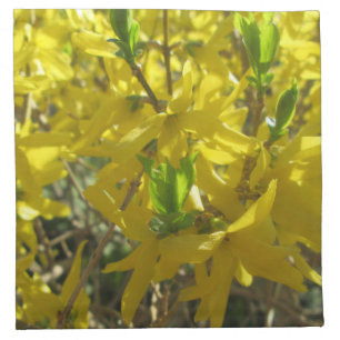 Napkins - Cloth - Forsythia