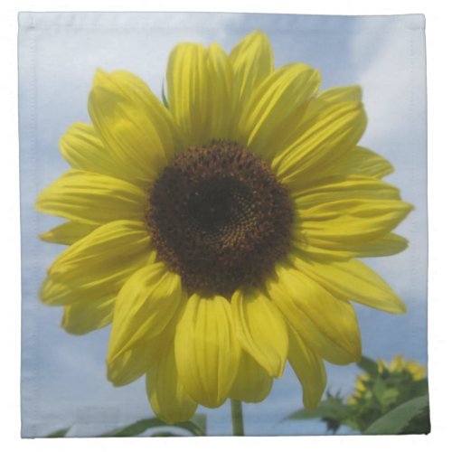 Napkins _ Cloth _ Sunflower Summer Sky