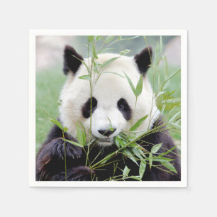 Napkins Photo giant panda , animals 0302.