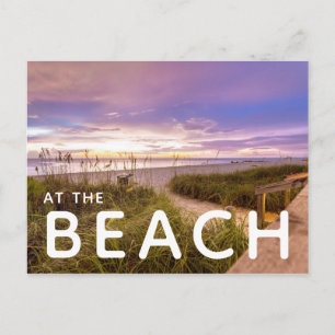 Naples Beach Florida Postcard