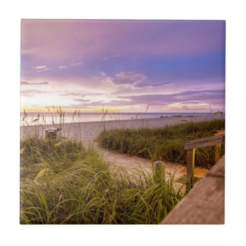 Naples Beach Shore and Calm Ocean  Florida Ceramic Tile