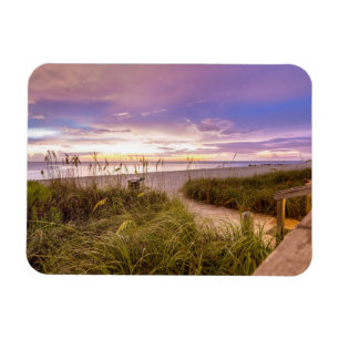Naples Beach Shore and Calm Ocean   Florida Magnet