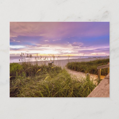 Naples Beach Shore and Calm Ocean  Florida Postcard