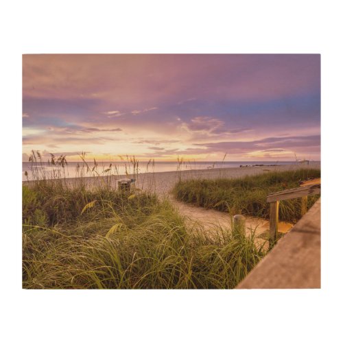 Naples Beach Shore and Calm Ocean  Florida Wood Wall Art