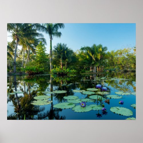 Naples Botanical Gardens  Naples Florida Poster