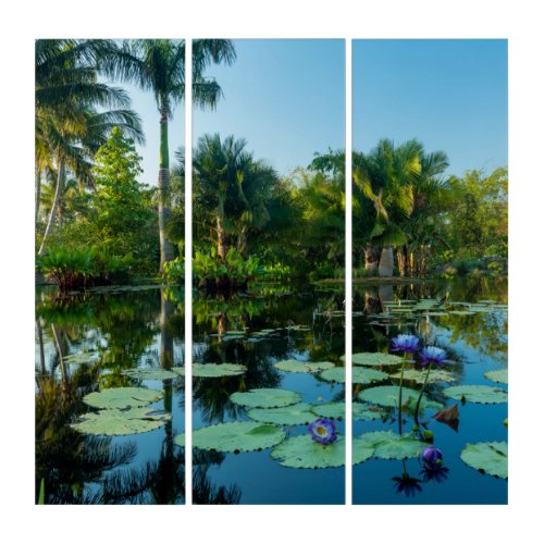 Naples Botanical Gardens  Naples Florida Triptych