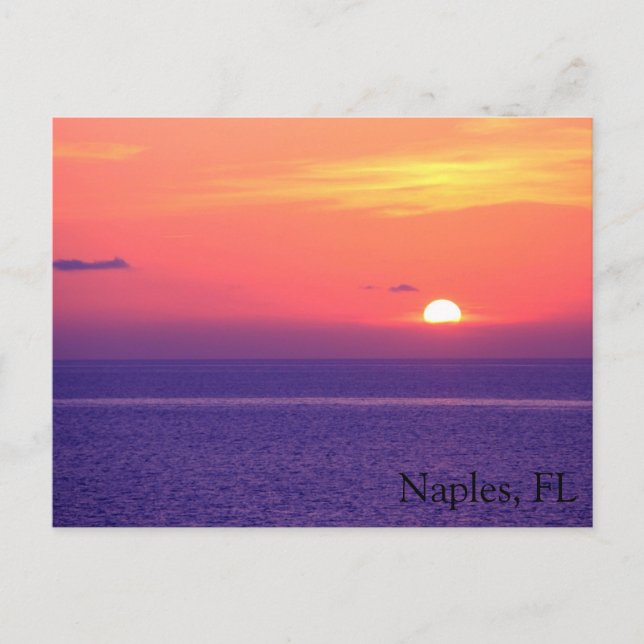 Naples, FL Postcard (Front)