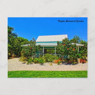 Naples Florida Botanical Garden - Caribbean Garden Postcard