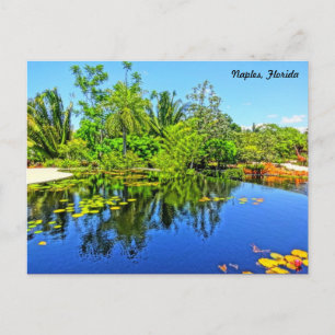 Naples Florida Botanical Garden - Infinity Pool Postcard