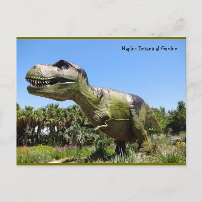 Naples Florida Botanical Garden - T Rex Dinosaur Postcard (Front)
