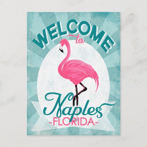Naples Florida Pink Flamingo _ Vintage Retro Trave Postcard
