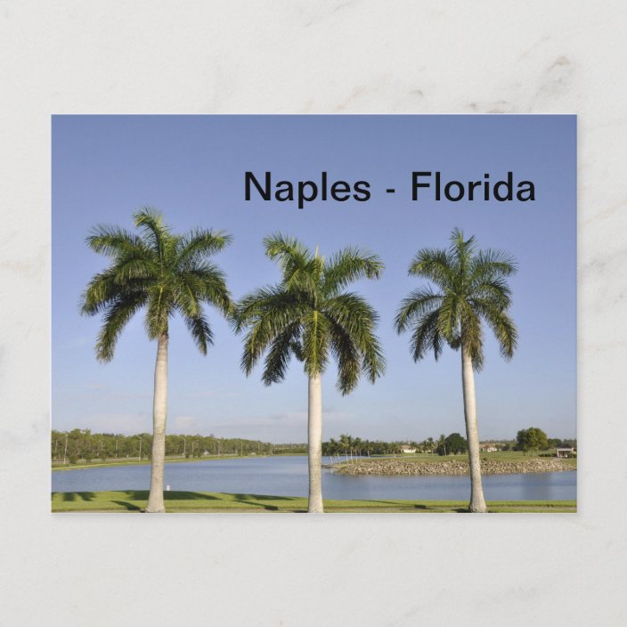 Naples Florida Postcard