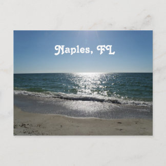 Naples, Florida Postcard