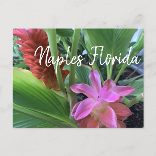 Naples Florida Tropical Flowers Postcard