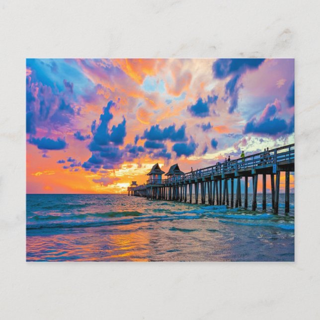 Naples Pier, Florida   Postcard (Front)