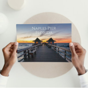 Naples Pier Florida Postcard