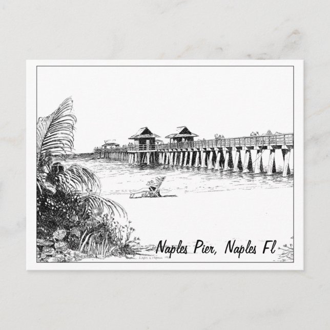 Naples Pier, Naples Fl Postcard (Front)