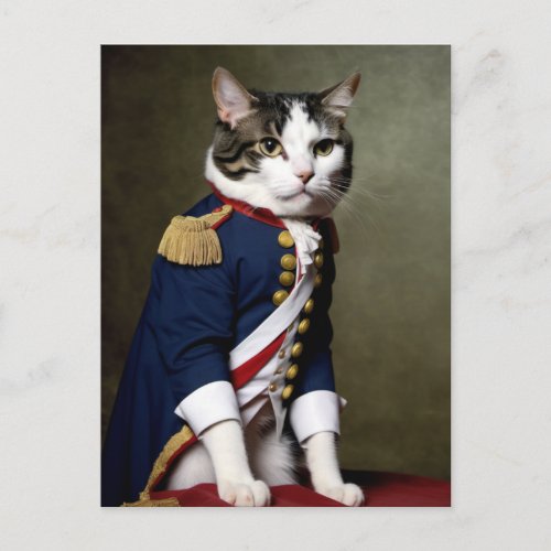 Napoleon Cat Postcard