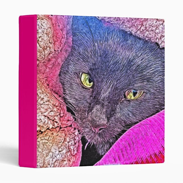 Napoleon in a blanket 3 ring binder (Front/Spine)