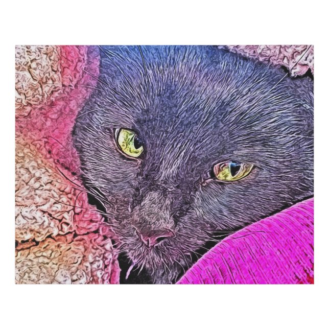 Napoleon in a blanket faux canvas print (Front)