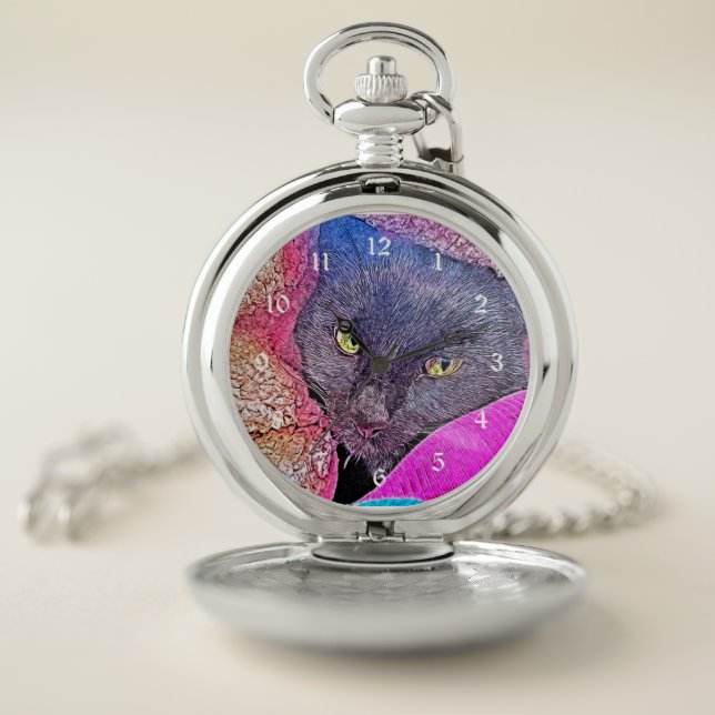 Napoleon in a blanket pocket watch (Inside)