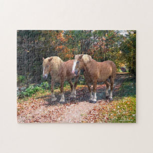 "Napoleon & Josephine" Puzzle